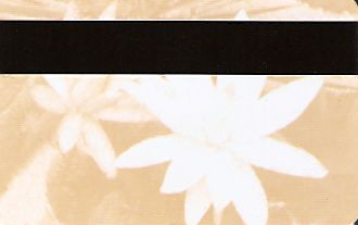 Hotel Keycard Conrad Bali Indonesia Back