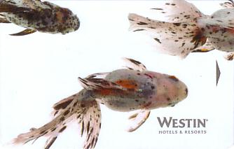 Hotel Keycard Westin Generic Front