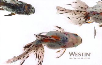 Hotel Keycard Westin Generic Front
