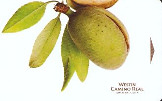 Hotel Keycard Westin  Guatemala Front